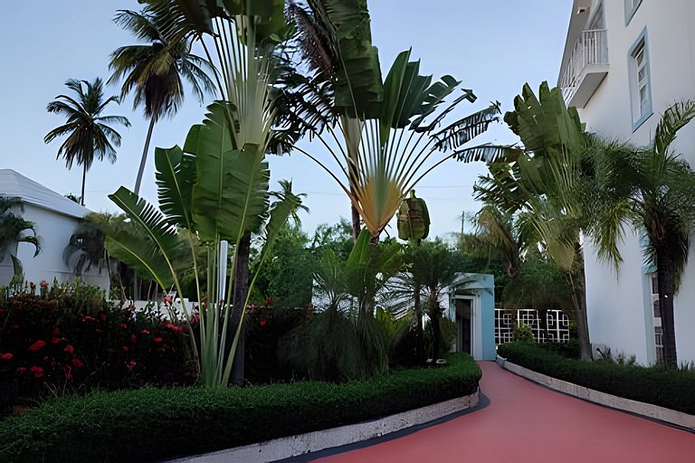 Los Corales Moderno Apto: Piscina y Playa 10 min